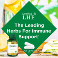 Echinacea -Supplement für die Gesundheit des Immunsystems